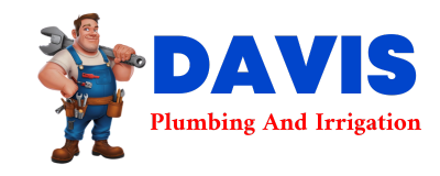 Trusted plumber in LESTER PRAIRIE